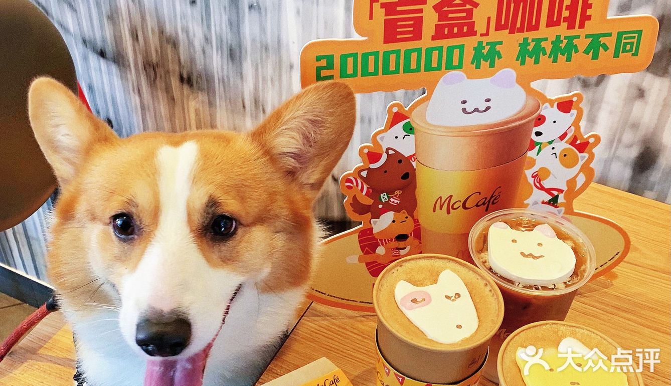 麦咖啡出新品盲盒啦‼️这么可爱竟然只送不卖‼️