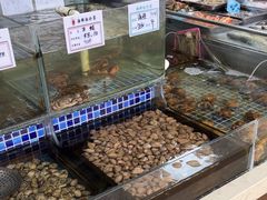 -天盛海鲜烧烤大排档·本地小海鲜·牟平腿穗子(幸福店)