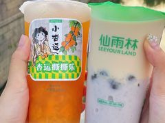 -仙雨林·奶茶鲜果茶(书院巷店)