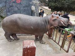 -贵州森林野生动物园