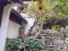 -秋霞圃