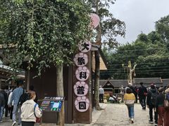 -野象谷景区