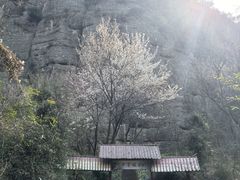 -窦圌山风景区