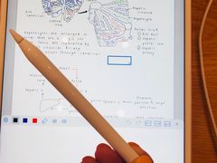 -Apple Store(Brisbane)