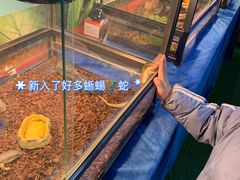 -太奥幻太奇海洋馆