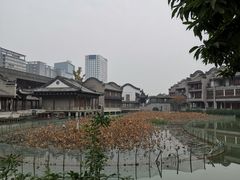 -龙潭水乡