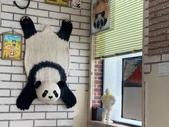 -熊猫一间店欧式奶茶铺