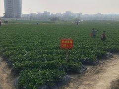 -万顷园艺世界