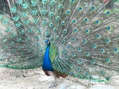 -静之湖湖畔餐厅