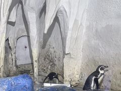 -太平洋海底世界