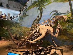 -自贡恐龙博物馆