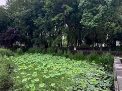 -金银湖国家城市湿地公园
