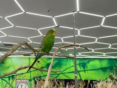 -昆明大悦城未来动物城(螺蛳湾中心店)
