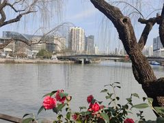 -西湖文化广场