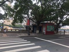 -珠江夜游省总码头