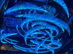 -西安W酒店·WEI全味西餐厅