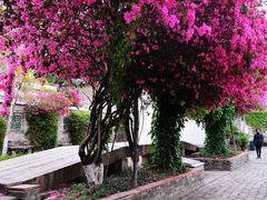 -东莞市可园博物馆