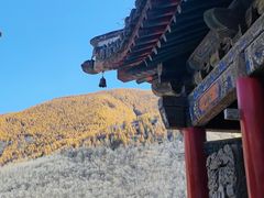 -五台山风景名胜区