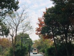 -西溪国家湿地公园