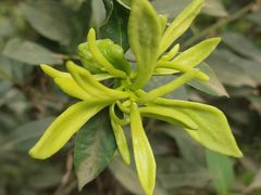 -白塔湖国家湿地公园