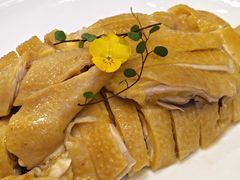 -明本湛江鸡•海鲜小厨(陈家祠店)
