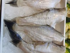 鲳鱼-川西坝子火锅(金沙1.0直营店)