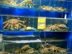 -蚝专家(北滘店)