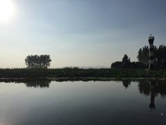 -微山湖红荷湿地景区