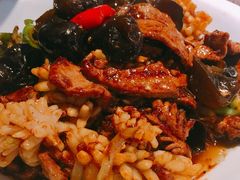 -刘胖子家常菜·蹄花焖藕(中央花园店)