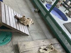 -秦皇岛野生动物园