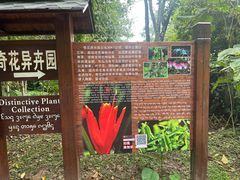 -中国科学院西双版纳热带植物园