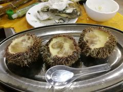 -蚝专家(北滘店)
