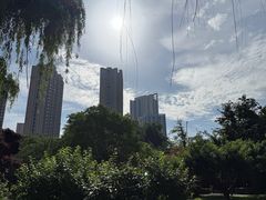 -木塔寺遗址生态公园