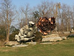 -上海海湾国家森林公园