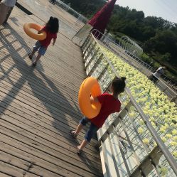 -珍珠泉水上世界