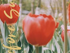 -陕西省西安植物园
