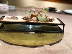 -稍可轩博物馆餐厅