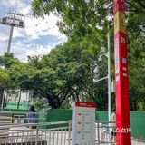不用到新疆也能吃上清真·新疆菜啦‼️