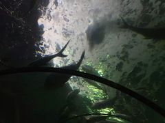 -厦门海底世界