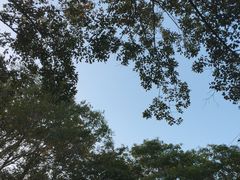 -雨花胜境