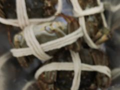 -阳澄湖大闸蟹·琼灵阁牌品牌连锁(吴中总店)