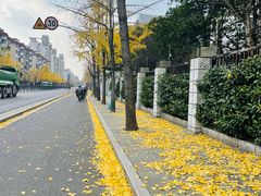 -星巴克(朵云轩店)