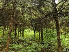 -青州市云门山风景区