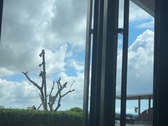 -JW万豪厨房餐厅·滨海草坪烧烤·海鲜·海景(三亚绿发山海天JW万豪酒店)