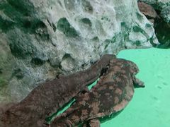 -常州海昌海洋探索馆