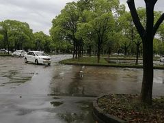 -安飞驰驾校·学车连锁(金高店)