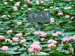 -嘉北郊野公园