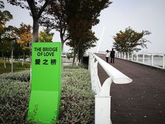 -映月湖中央公园