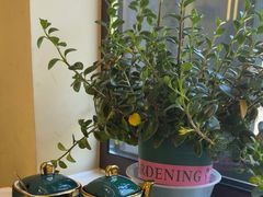 -贺兰山·西北菜(牛街总店)
