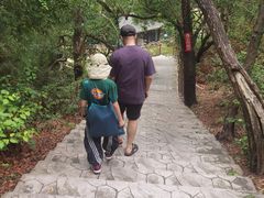 -广东惠东海龟国家级自然保护区